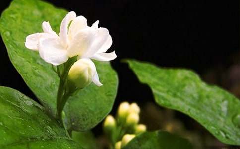 �ּ����򻨿�����