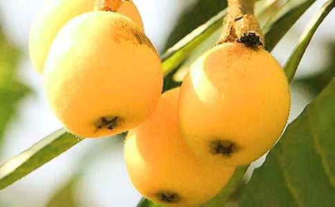 ����������300�֣�ͨ��28ƪ��