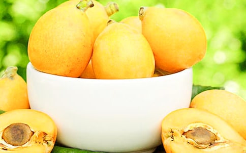 关于枇杷树的作文