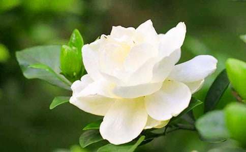 ���ӻ�������(15ƪ)