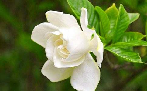 ���ӻ������ģ�ͨ��46ƪ��