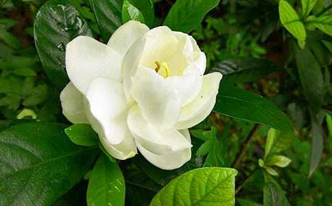 ���ӻ������ģ�ͨ��20ƪ��