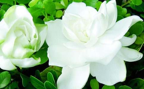 ���ӻ�������15ƪ��������