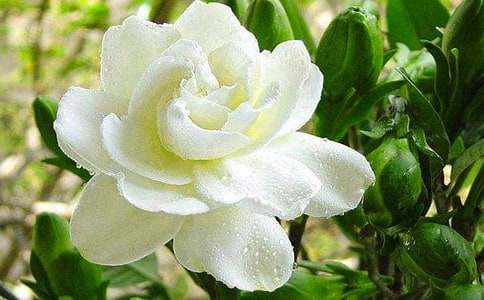 ���ӻ������ġ����䡿