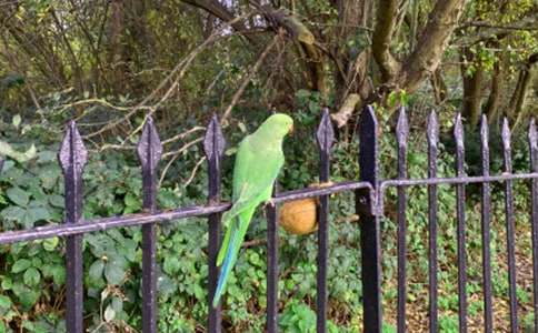 �ɰ���С��������15ƪ