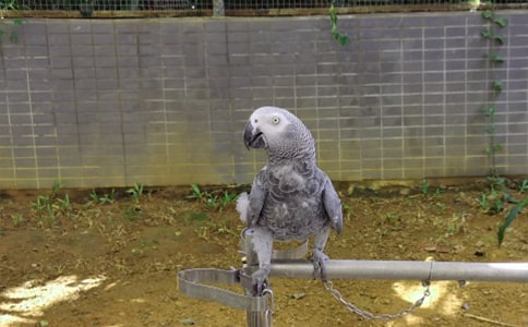 �ҵ�С��������