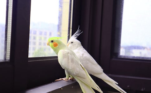 �ҵĶ�������С�������ģ�ͨ��24ƪ��