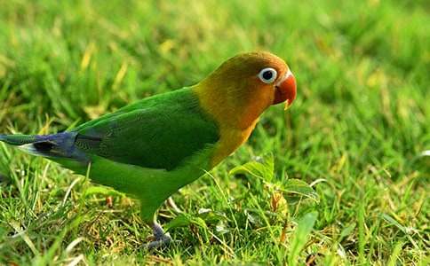 �ɰ���С��������[ͨ��15ƪ]