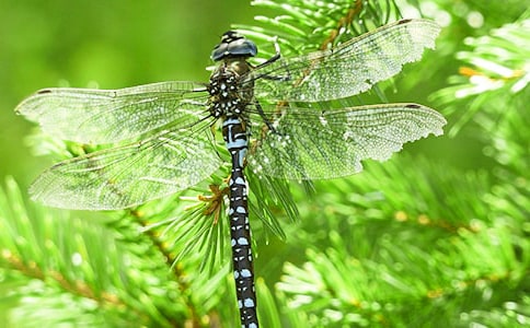 ��д�����ص�ľ���