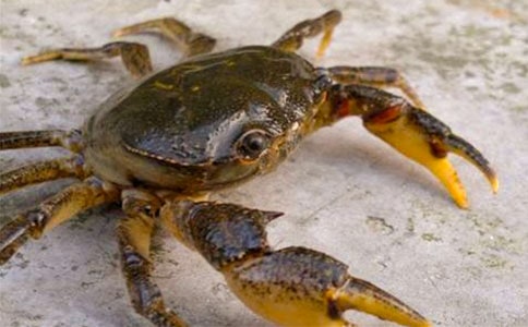 С�з����600��9ƪ