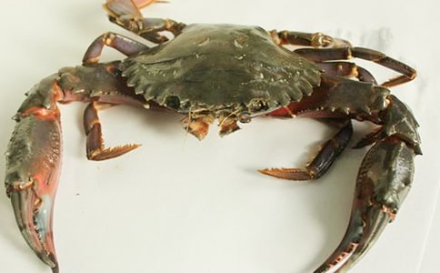 С�з����600����ƪ