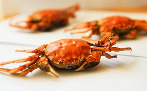 С�з������600��6ƪ