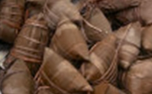 包粽子作文600字