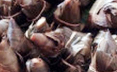 ���ϼ���ѧ����������