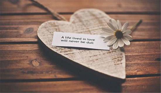 ����ѡ����������600����ƪ