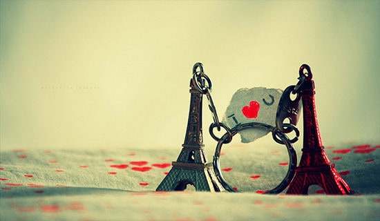 ����ѡ����������600��3ƪ