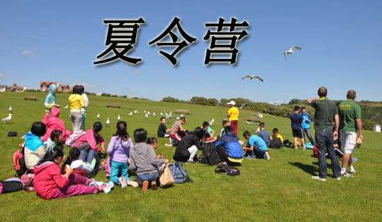 �μ�����Ӫ���ĵ���ᣨͨ��8ƪ��