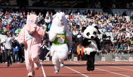 ѧУ�ﾶ�˶����Ļ��12ƪ