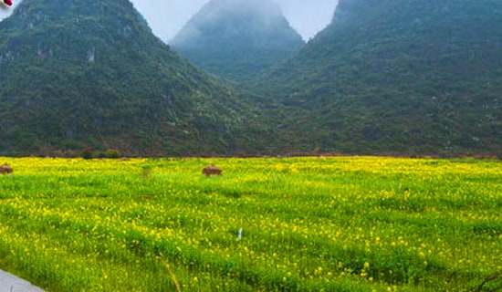 ȥ���ﴺ�ν�����