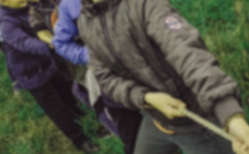 �κӱ��������Ÿ�(15ƪ)