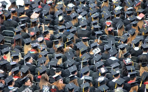 2024���йر�ҵ������¼����50��