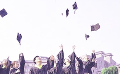 ��ʦ�Ա�ҵ��������