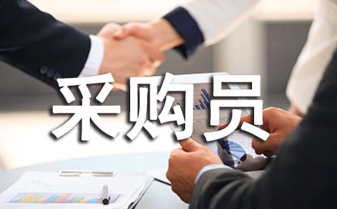 采购员个人评价6篇
