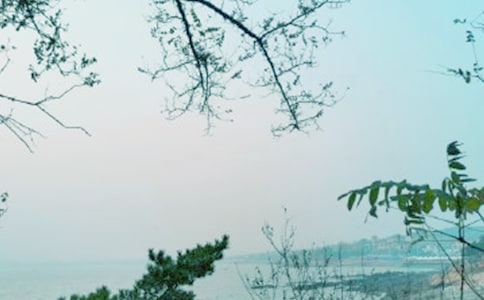 �����硷ԭ�ļ���������ѡ11ƪ��