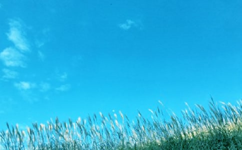 税务春风行动总结(通用9篇)