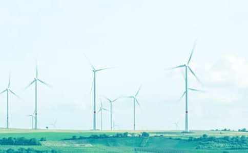 ����Բ��С��֦�ϴ�����ԭ�ļ�����