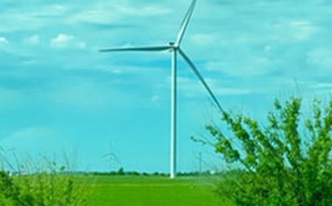 ����Բ��С��֦�ϴ�����ԭ�ġ�����ע�ͼ�����