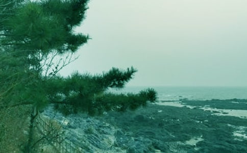 ������������������÷��ԭ�ļ������ر�2ƪ