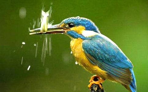 �����񡷽̰�15ƪ