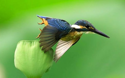 ���꼶�����񡷵Ľ̰�