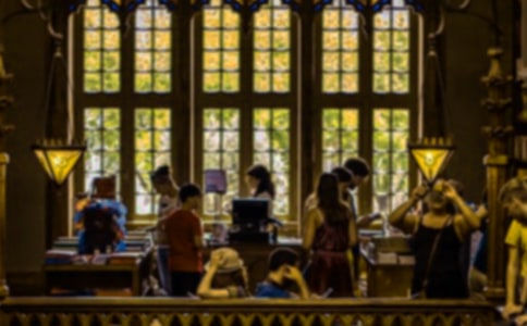 ��ѧ�����´�ҵ�ĵ����