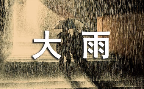 《大雨和小雨》教案15篇