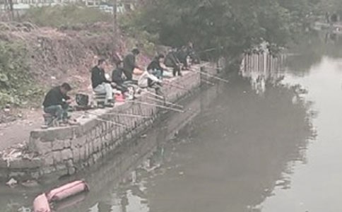 ��Сè���㡷�̰�����˼