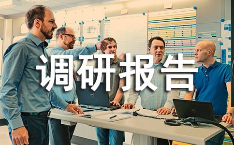 ���㵳���������б���