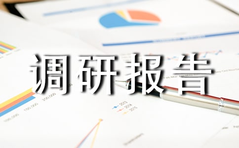 社工行业调研报告