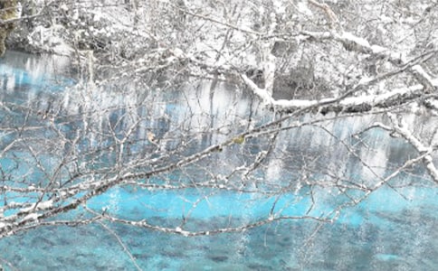 ����Ƿн����ר���ж�����㱨���ģ�ͨ��21ƪ��