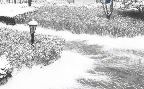 ���������ܽᣨͨ��15ƪ��