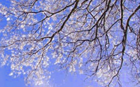 ��ඬ�����Խ̰�15ƪ