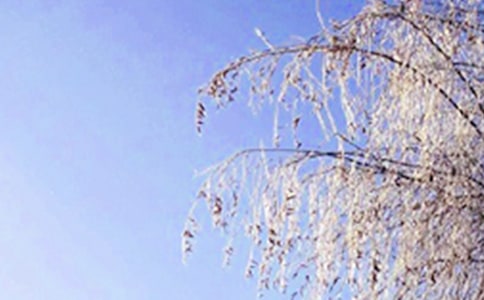 ��ඬ�����Խ̰�����ѡ20ƪ��