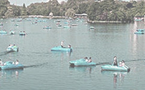 �����鷺��ԭ�ļ�����