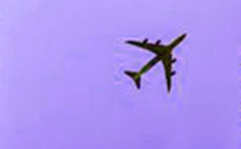 ���ɻ��ľ����ע������