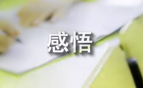 综合管理部工作感悟