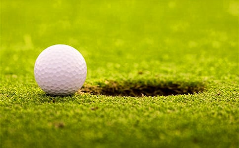 ���ѡ��߶������