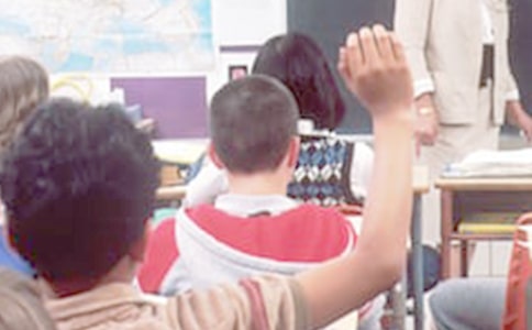 ���ᡶī÷���̰�����������