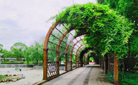 ��԰��ȫ���������ƶȣ�ͨ��11ƪ��