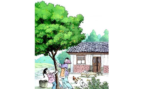 �����ѧ��˼����ѡ11ƪ��